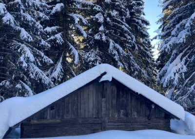 Chalet d'alpage